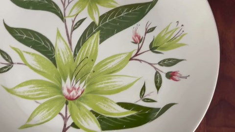 Vintage Homer Laughlin Desert Lily Dinner Plate – Rhythm Line – Mid Century Green Floral Plate - Etsy