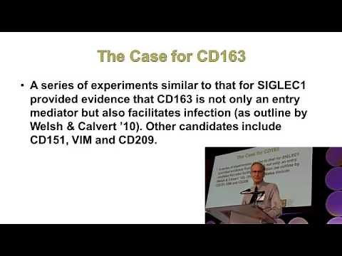 Dr. Randy Prather - Porcine Reproductive and Respiratory Syndrome Virus Resistant Pigs