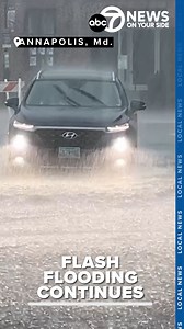 The First Alert Weather Team is on a double alert for Sunday due to excessive heat and storm chances. Isolated storms will continue on and off for portions of the area this afternoon evening. | 7News DC
