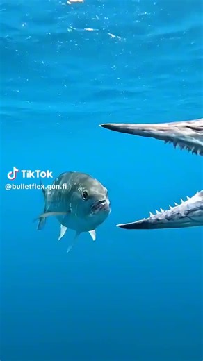 Exploring Iconic Film Scenes from Classic Movies