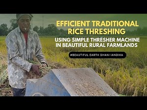 Efficient Traditional Rice Threshing Using Simple Thresher Machine in Beautiful Rural Farmlands