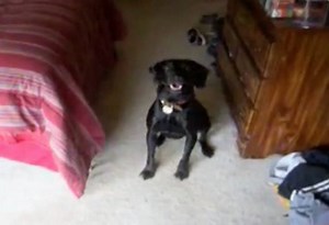 1.5M views · 21K shares | That's a hard pass on bath time. | America's Funniest Home Videos | Facebook