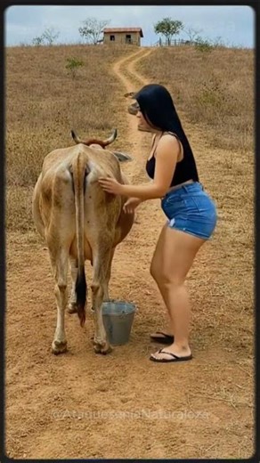 Human vs Cow | When Survival Was Brutal 🐄 #evolution #animals #cow #shortvideo