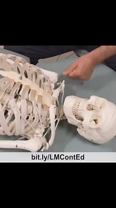 🔹 LearnMuscles.com 🔹 Excellence-in-education 🏅 ✨ Joint mobilization of the sternoclavicular joint. 🔸The most efficient mobilization is accomplished when one of the bones at the joint is first stabilized. In this case, we stabilize the sternum and then mobilize the clavicle relative to it at the sternoclavicular (SC) joint. 🔸This specific mobilization is for anterior glide of the sternum at the SC joint. . 🌻 15% DISCOUNT for LMCE FREE 15-Pack ebooks!! Use code SPRING15 (new subscribers only