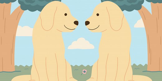 We Wish Our Pets Could Live Forever, But Is It OK to Clone Them?