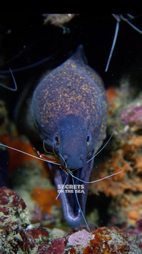 3.3K views · 187 reactions | Science Museum of Minnesota on Reels | Facebook