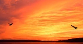 The Compass Within: Reframing Motivation Through Inner Alignment