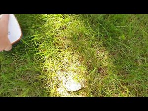 Using Juniper Systems Geode GPS to collect waypoints