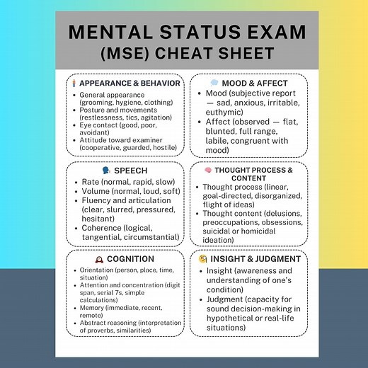 Mental Status Exam MSE Cheat Sheet PDF Quick Reference Guide Therapist Mental Health Assessment Phrases Progress Notes Therapy Student Tool - Etsy