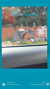 18K views · 279 reactions | #LaVozDeLaGente Imágenes enviadas por...