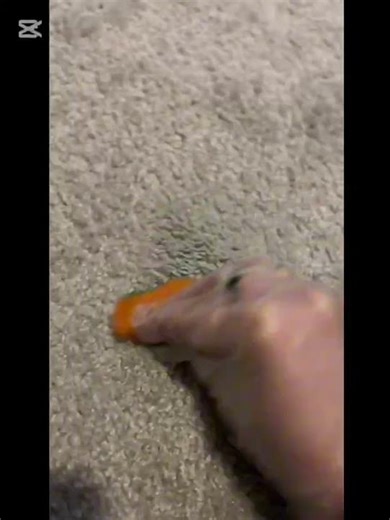 How to Remove Plasticine from Carpet Fast! 🚀