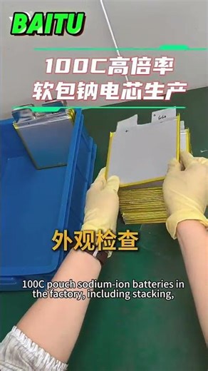 How are polyanion sodium batteries and pouch batteries manufactured? #electrical #sodium battery
