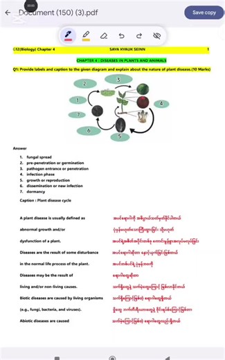Plant Diseases in Grade 12 Biology