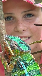 I am so blessed to meet creatures like this amazing Panther Chameleon, the gentle nature and gorgeous colors of this reptile - reminds me to keep looking for new ways to make a conservation difference in this big beautiful world that we live in! 🌍🦎👍🏻🙌🏻 | Brooke.Carter