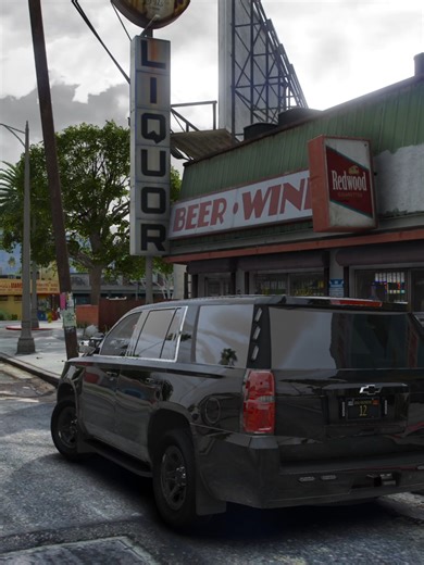 Another day in South Los Santos #leorp #lspdfr #gangunit #lspdfrroleplay #onscene