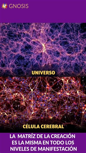 Cursos gratuitos en https://gnosisargentina.org.ar/ | Gnosis Argentina