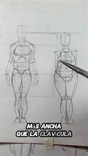 62K views · 1.5K reactions | Tutorial para aprender a dibujar en proporciones  #arte #tutorialdedibujo #comodibujar #drawing #dibujoalápiz #aprendeadibujar #dibujorapido #dibujorealista #dibujo #aprendedibujo #dibujoalapíz | El Arte del Dibujo | Facebook