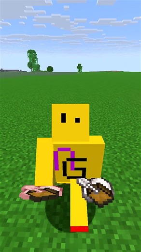 Chest boat is better than Ender Chest in Minecraft