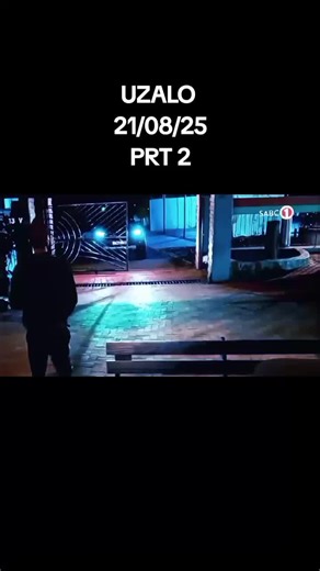 Insights from TikTok Creator Pilot Program