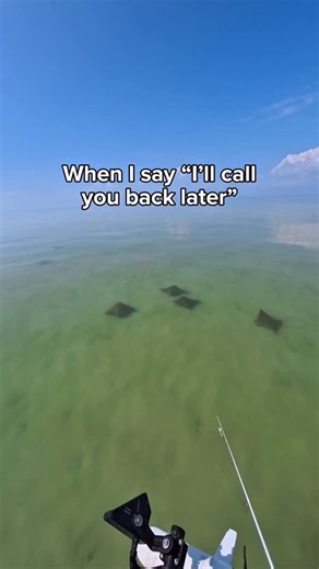 I don’t use my phone for that 🤣. On the plus side our water is crazy clean right now on the coast. #fishingmemes #fishinglife #islandvibes #meme | Cody Taylor