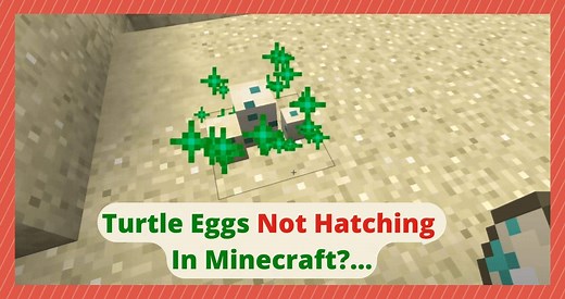 3 Things To Do If Turtle Eggs Not Hatching In Minecraft - West Games
