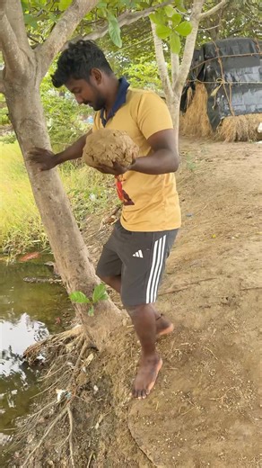 Day 74 மீன் தீவனம் 🐠 மீன் வளர்ப்பு முறை 120 days challenge #shortvideo #fish #fishfood #fishing