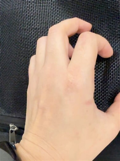 Bat World Sanctuary on Reels