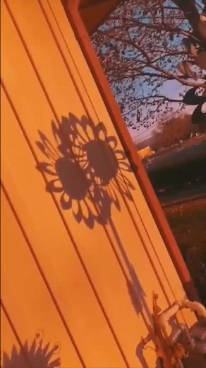 Counting Crows-Accidentally in love #countingcrows #accidentallyinlove #music