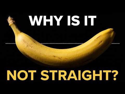 The Banana Curve Is Not An Accident — Here Is Who Designed It