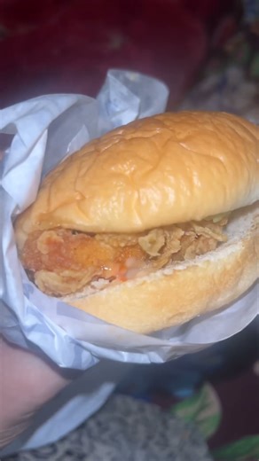 Burger lover #food #burgerlovers #texas #foodie #viral #views #subscribemychannel #foodlover #ansa