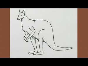 How to draw Kangaroo step by step for beginners/Kangaroo drawing/animals drawing