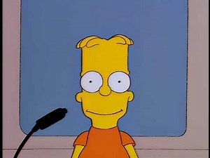 Simpsons - This ID Is Completely Fake (from "Bart On The Road")