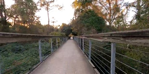 Heart of Louisiana: Tammany Trace