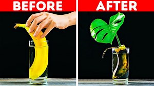 3.6M views · 26K reactions | Unbelievable banana tricks you've never seen before. ‍♀️ | 5-Minute Crafts | Facebook