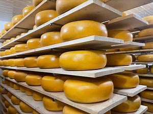 On The Road: Dairy Delights at De Vor Dairy Farm and Creamery