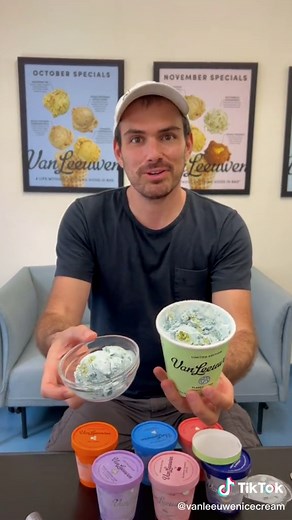 Van Leeuwen's Planet Earth Ice Cream Flavor at Walmart