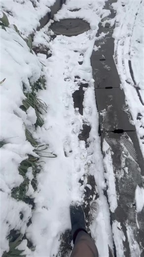 いじめの経験と転校生の影響