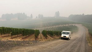 Freeze missed wine grape crop, but research continues on impact of wildfire smoke