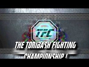 TFC - Toribash Fighting Championship