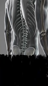 2.2K views · 11 shares |  End Back Pain Now: FREE Revolutionary...