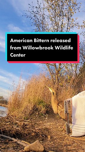 DuPage County Forest Preserve on TikTok