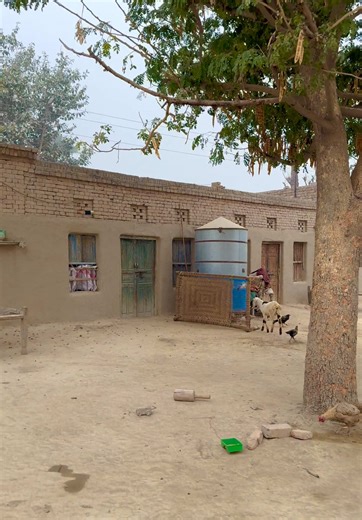 Discover Real Simple Village Life in Punjab, Pakistan