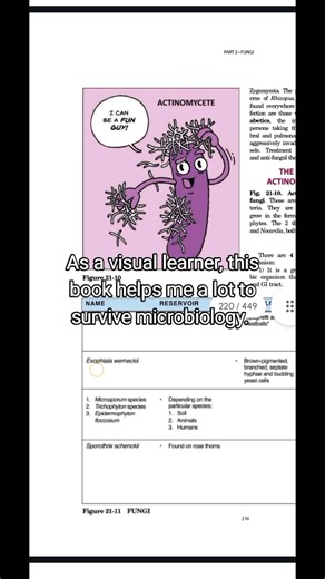 Best Book to Study Microbiology for Visual Learners