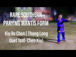 Rare Southern Praying Mantis Form.