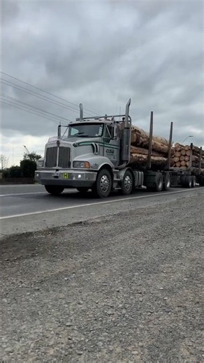 Giant Logging Truck Hauling Full Load! Incredible Heavy Logging Rig in Action! 🪵⚡ #BigRigs #truck