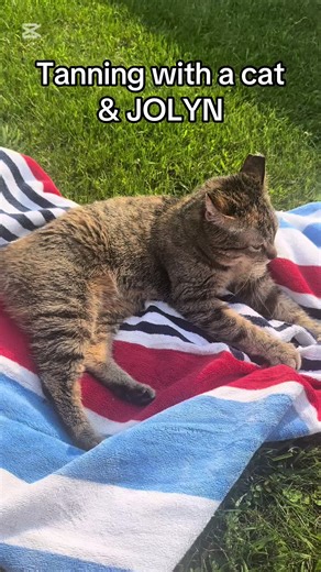 Or should I say attempting to tan @JOLYN 😂 Tag your furry friend and your favorite JOLYN in the comments!!l #jolyncollegiate#ad#JOLYN#swimsuits#midwestswimmer#cat#tanning#tan#bikini