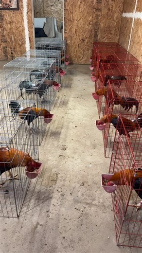 PARTIDO EL JT on Instagram