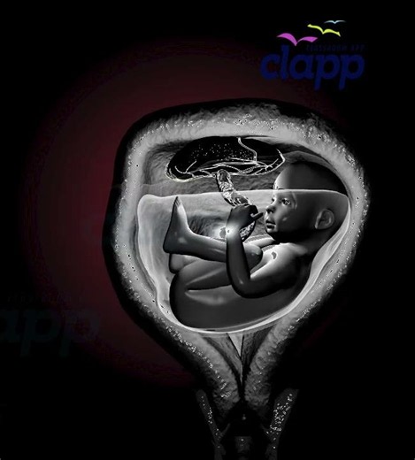 Baby Kicking Inside the Womb! Watch This Amazing Moment Before Birth 🤰 #Shorts