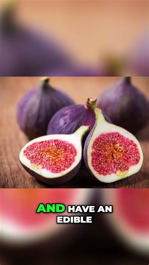 Figs Unveiled: Taste, Origins, and Amazing Facts! #shorts