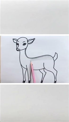How to Draw a Deer